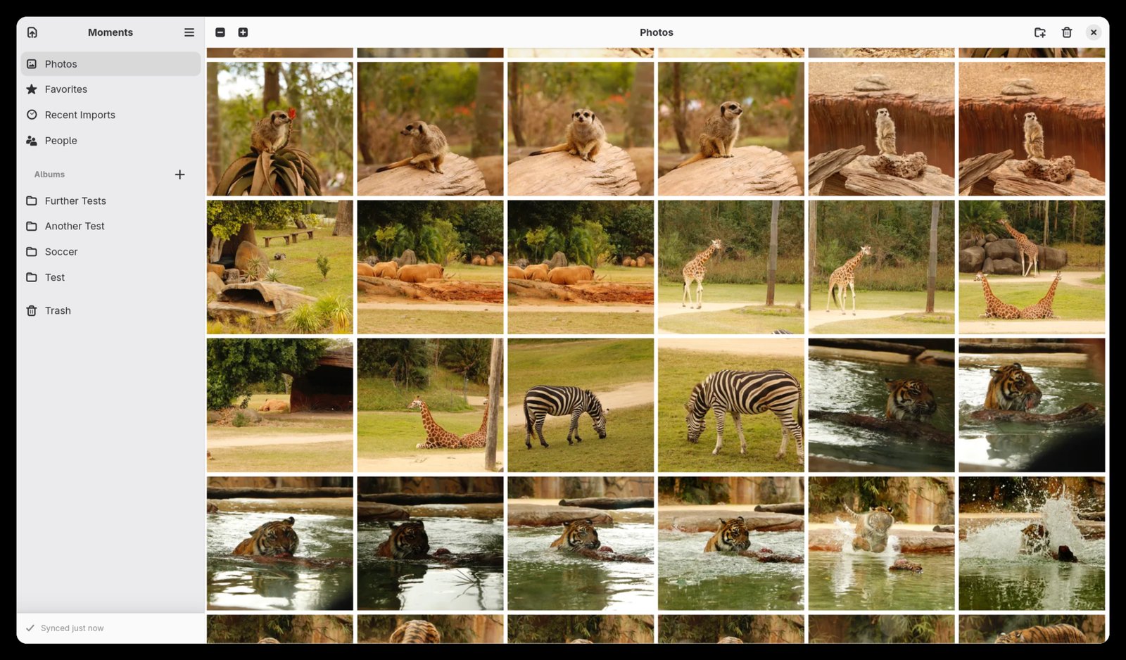 The Moments photo grid, showing a synced Immich library with sidebar navigation and albums